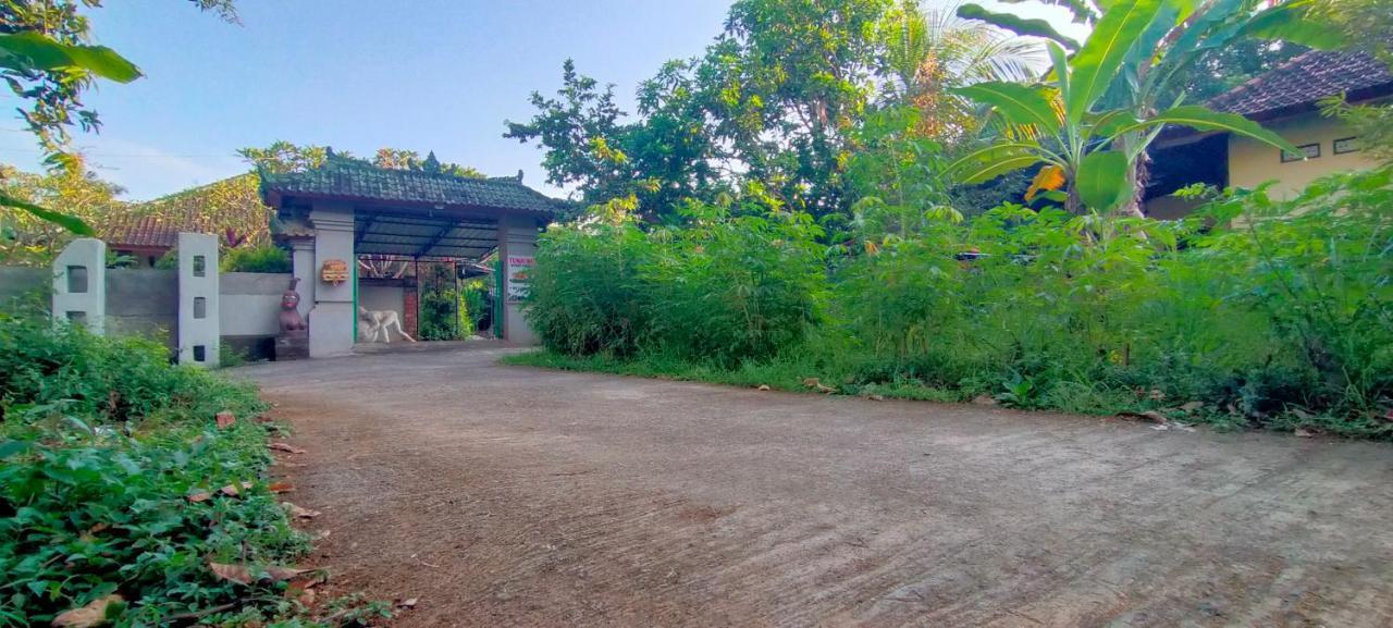 Tunjung Guest House Lovina Beach Pabean Buleleng Екстериор снимка